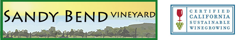 Sandy Bend Vineyard