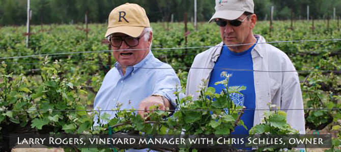 Sandy Bend Vineyard is a family-run business